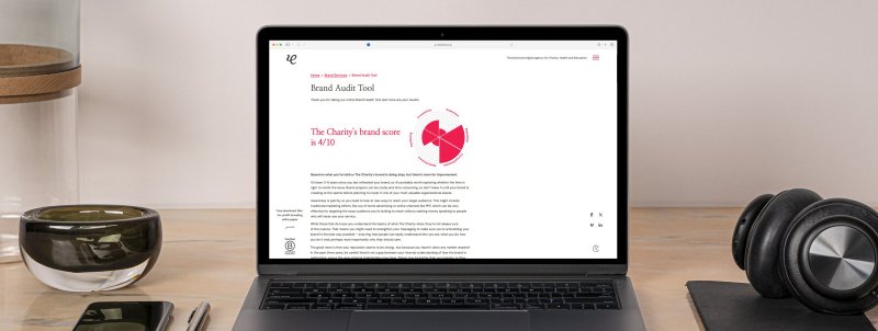 A screengrab of our online brand audit tool