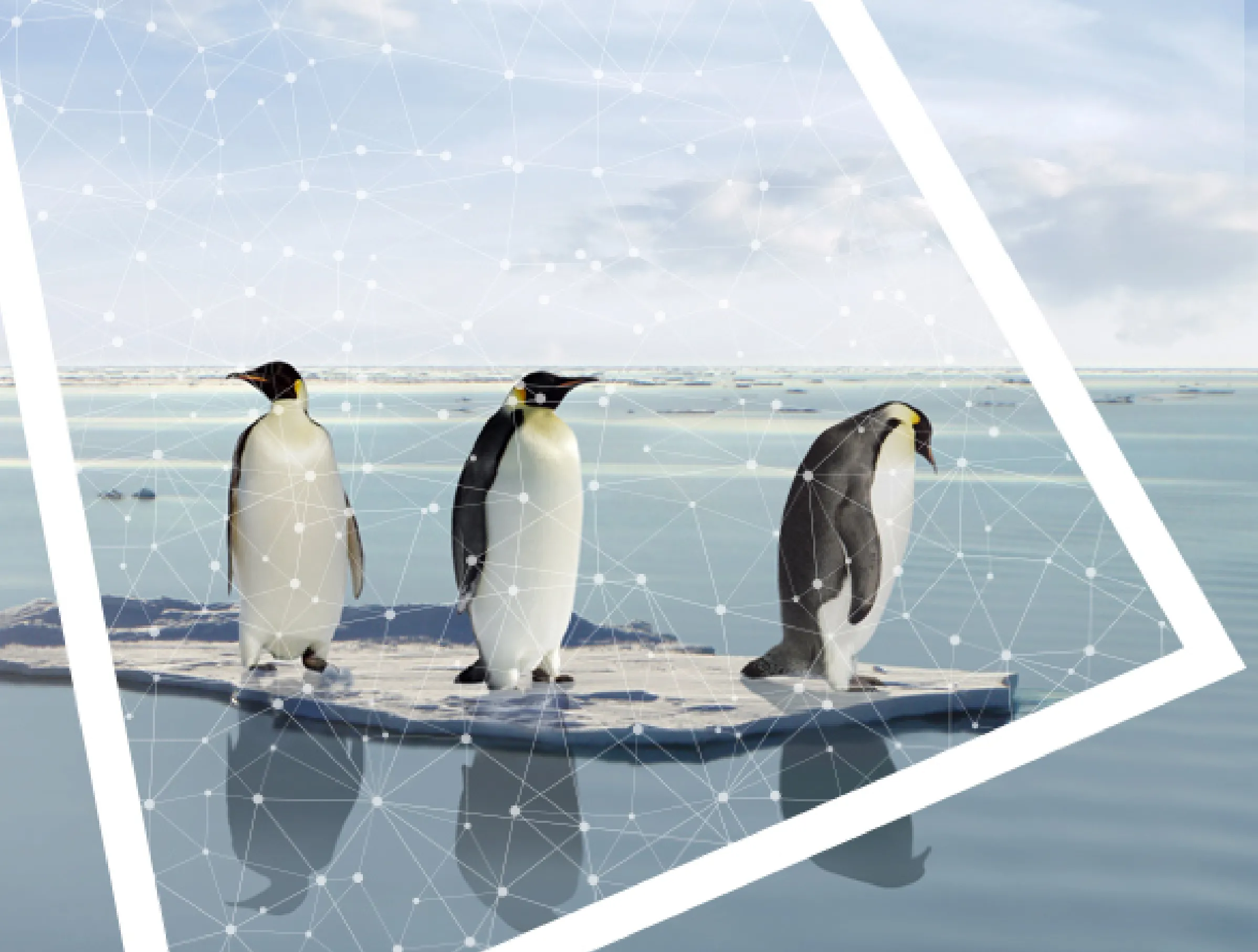 Penguins standing on ice, surrounded by water, and framed by the Forum for the Future 'window' logo